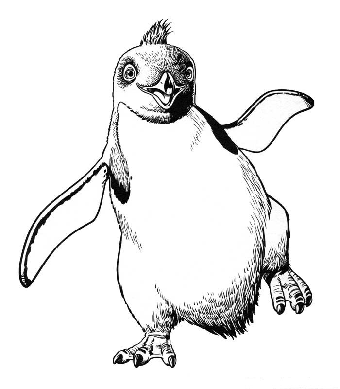 Plansa de colorat cu Happy Feet 6 6
